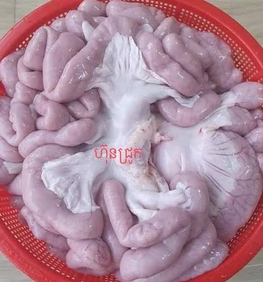 ពោៈជ្រូក